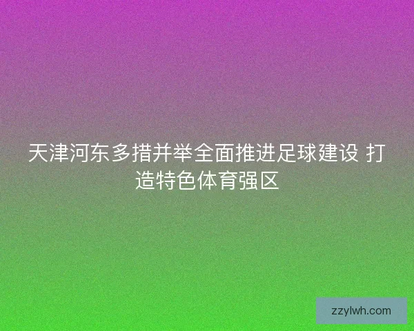 天津河东多措并举全面推进足球建设 打造特色体育强区