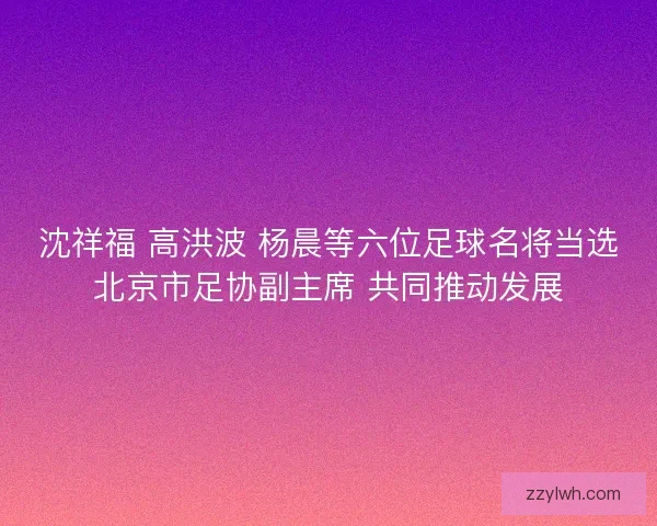 沈祥福 高洪波 杨晨等六位足球名将当选北京市足协副主席 共同推动发展